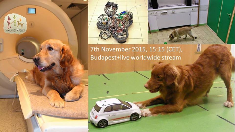 Webinar: World Wide Free Seminar of the Family Dog Project © http://familydogproject.elte.hu.